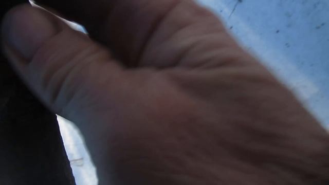 Виктор Безгодков. Борьба за деревья, за сад... За цвету? смотреть онлайн