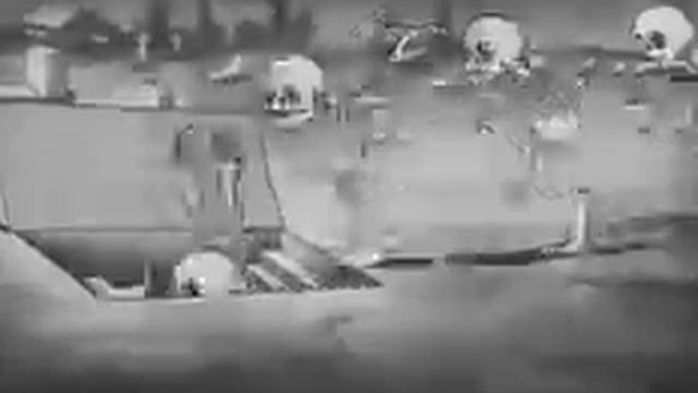 Все подписчики лезут к коту игроману в гроп