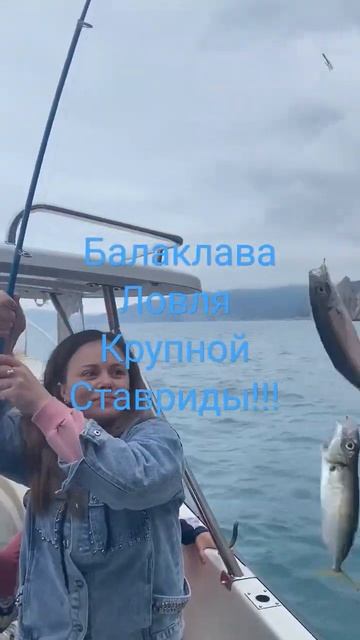 Ловля крупной ставриды! смотреть онлайн