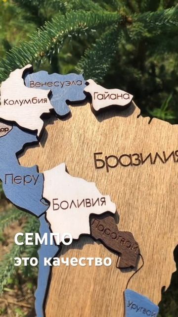 Деревянные карты мира СЕМПО #бизнес #производство #эст смотреть онлайн
