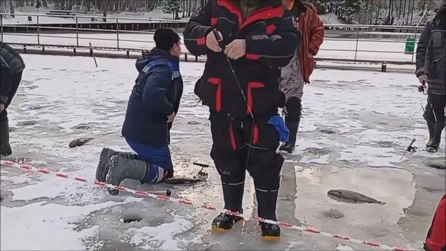 Оранжевые, розовые цвета приманок, вновь провоцируют ?