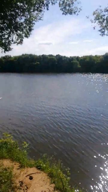 нижняя москварека