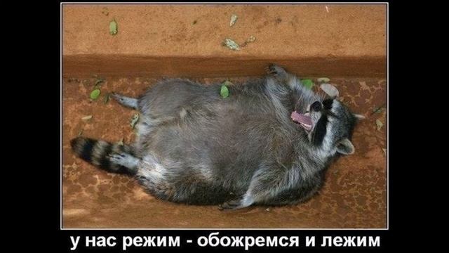 фото приколи смотреть онлайн