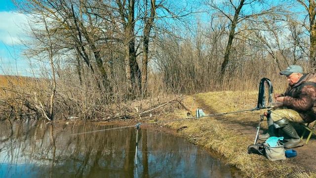 🔥 Фидер Sabaneev Foton Pro II 390 до 110г – тест и рыбалка! 🎣