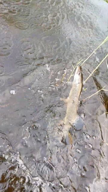 7 июня 2024 г. смотреть онлайн