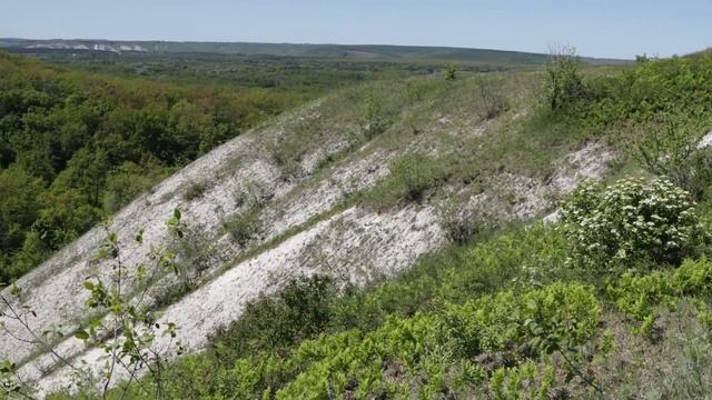 Заповедник "Белогорье" Белгородская область смотреть онлайн
