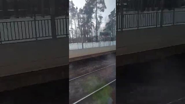 Вернулись домой! #секретдядивани #макуха #москва #эксп? смотреть онлайн