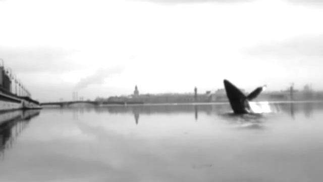 ты был птицей и бомбой и тебе есть что вспомнить ... смотреть онлайн