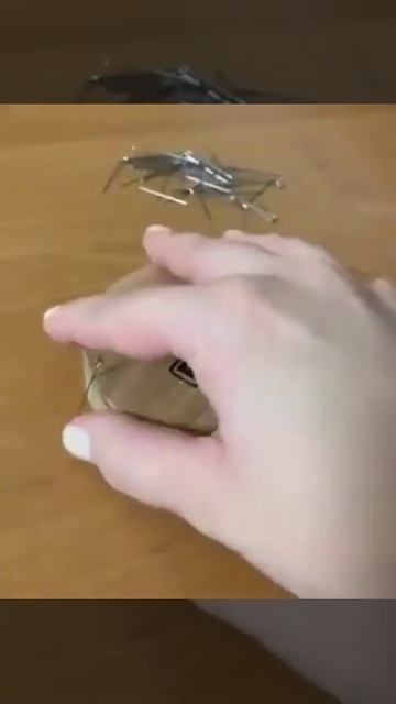 14 февраля 2023 г.