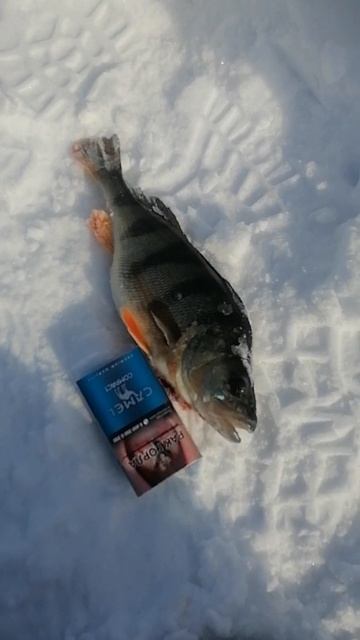 уткуль Алтай смотреть онлайн