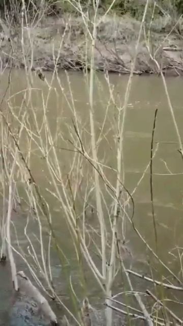 15 В ТАЙГЕ Съемка с Квадрокоптера Виды Сибирской ТАЙГИ