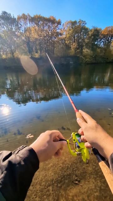 ЛОВЛЮ ЩУКУ С ПЕРВОГО ЗАБРОСА! День 5 #щука #fishing #рыбалка смотреть онлайн