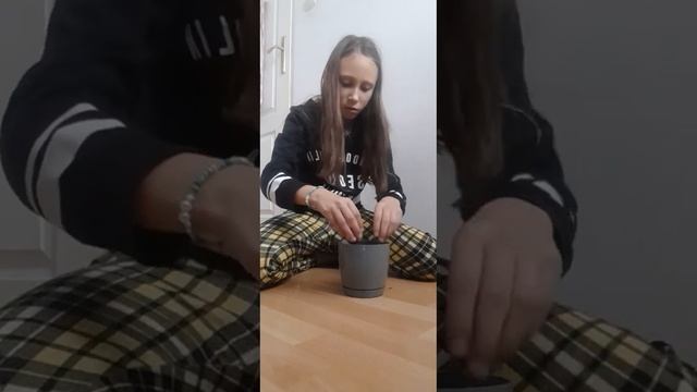 Довго чекана пересадка авокадо в ґрунт😊🥰😇😝🤪🥑 смотреть онлайн