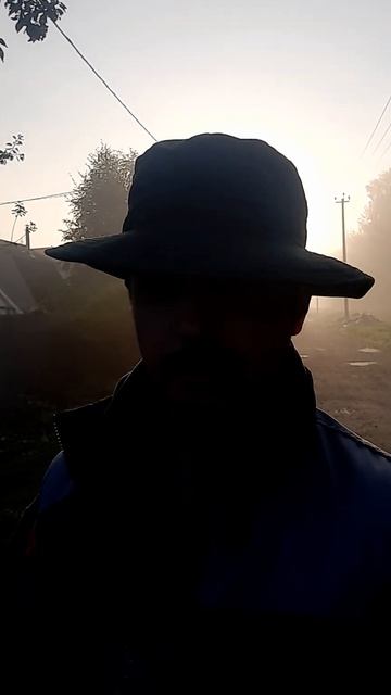 Хмурое утро #nature #mushroom #fishing #лето #дача #hunting #лес