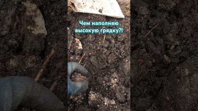 Наполнение высокой грядки #высокиегрядки #огородсвои? смотреть онлайн