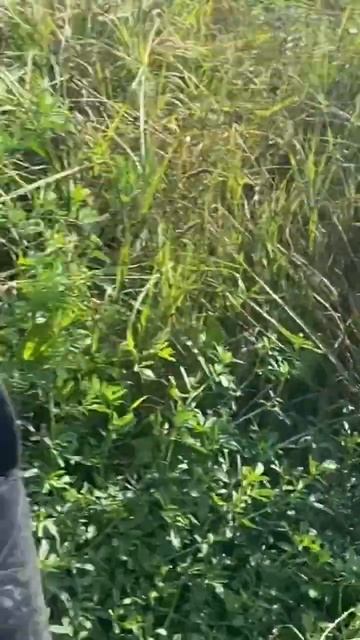 Рыбалка на Озере Закидушка Донка смотреть онлайн