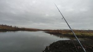 Мой новый спиннинг Crazy Fish Arion ловлю окуня, плотву и укле