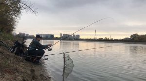 Рыбалка на Кубани. Ловля плотвы, рыбца и густеры