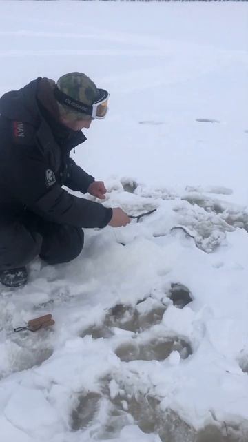 Рыбалка на налима, тундра. смотреть онлайн