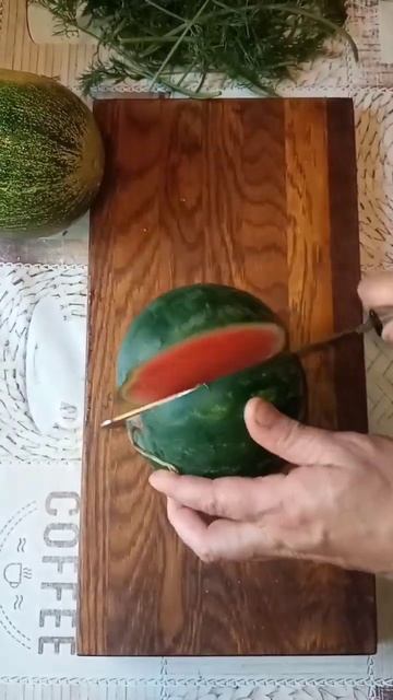 Из китайских семян вырастил мини арбуз и дыню. Показыв смотреть онлайн