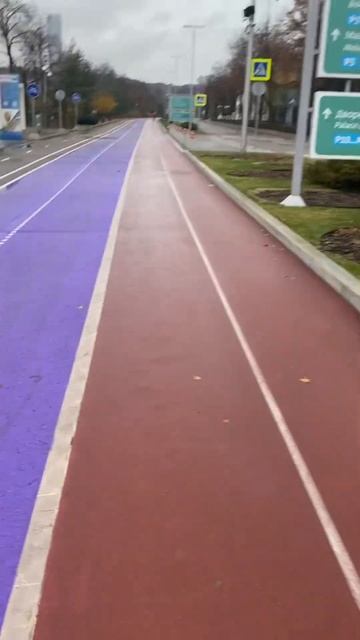 Беговые дорожки в Лужниках смотреть онлайн