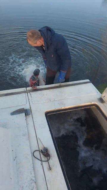 Запуск Карпа на Верхний водоём смотреть онлайн