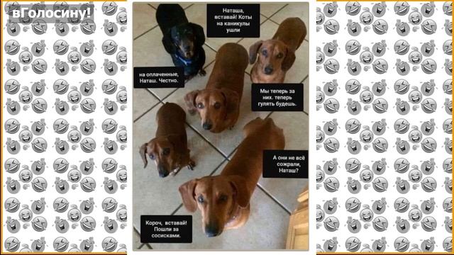 Мем с котами «Наташ, вставай! Мы уронили вообще все!» смотреть онлайн
