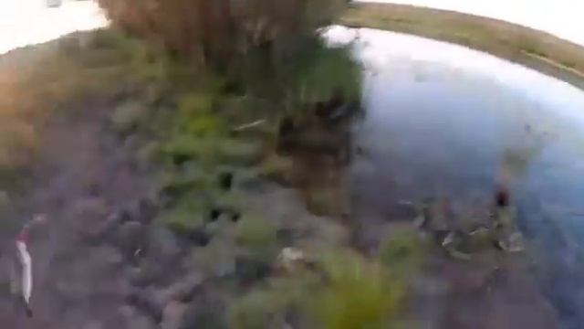 Ловля на спиннинг - то погода не та,то течение не то смотреть онлайн