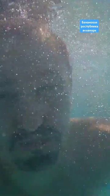 аквапарк, банановая республика Крым смотреть онлайн