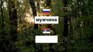 Тренировка сербских слов уровня А1-Б1. Учим сербский яз