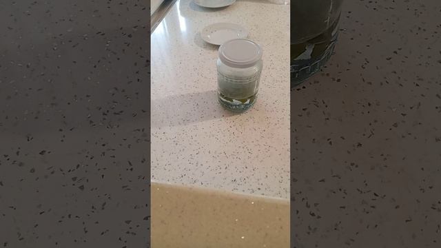 ЛАВРОВЫЙ ЛИСТ И ПРИМИНЕНИЕ,,,,, смотреть онлайн