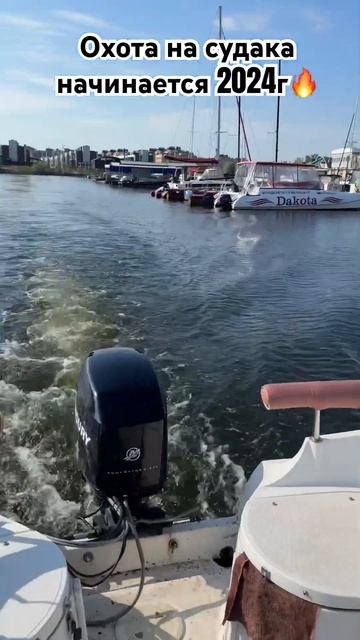 Охота на осеннего судака 2024 🔥 начинается 🤗 #казань #в смотреть онлайн
