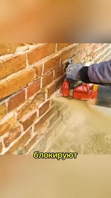 Как избавиться от плесени и сырости стен? Сохрани, что? смотреть онлайн