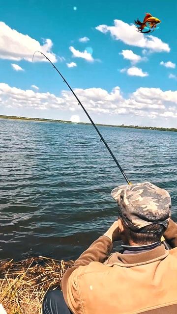 Так вот как тебя нужно ловить Серебристый уральский к?