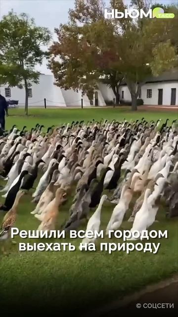 Дороги 7 мая вечером смотреть онлайн