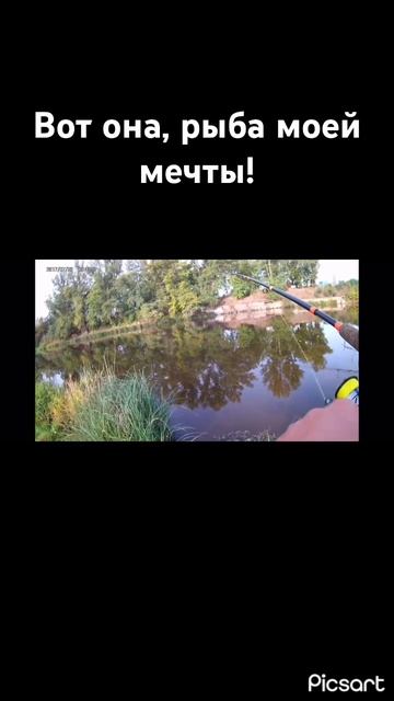 Вот она, рыба моей мечты! #рыбалка #fishing #рыбак #angeln #carp #с