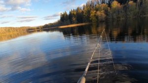 ЛОВЛЯ КРУПНОГО  ОКУНЯ НА РАТЛИНЫ!!! ОСЕННЯЯ РЫБАЛКА НА ?