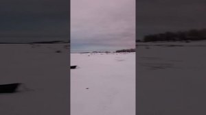 Рыбалка на Иртыше. Зимняя рыбалка. Ловим Щуку и чебако?