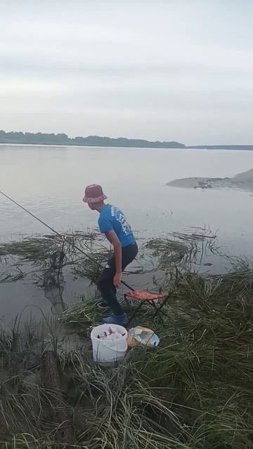 рыбалка на Оби #fishing