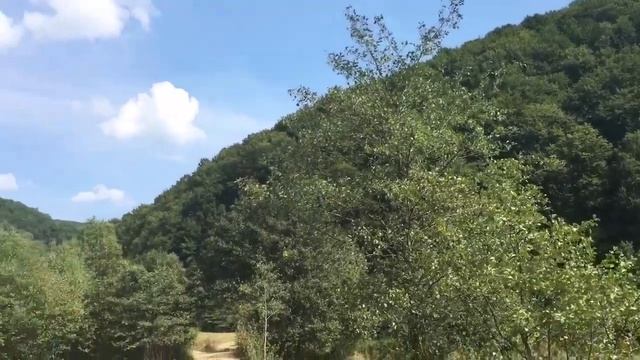 Турья поляна - первые дни осени