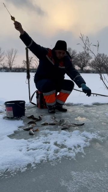 Рыбалка в Астрахани #рыбалка #fishing #зима #астраханскаяр смотреть онлайн