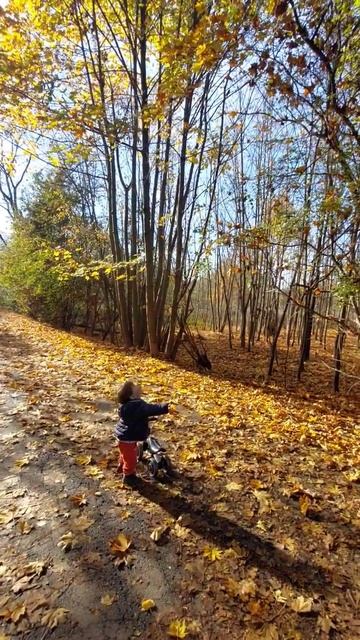 Когда с неба падают листья. Осень в Кракове c ребенком смотреть онлайн