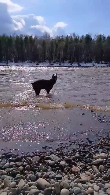 гоняем КАМНИ смотреть онлайн