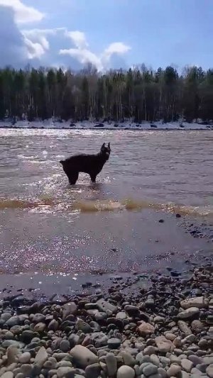 гоняем КАМНИ