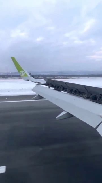 Южно-сахалинск прибытие #airport #s7 #airbusa320neo #morning 🌞 смотреть онлайн