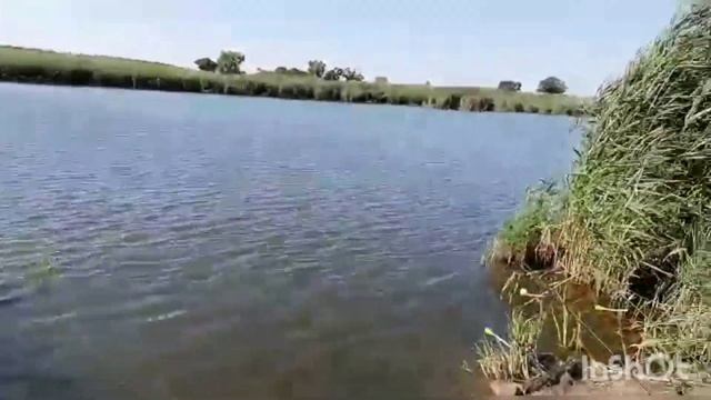 Рыбалка на карася 🐟 с кормушкой. смотреть онлайн