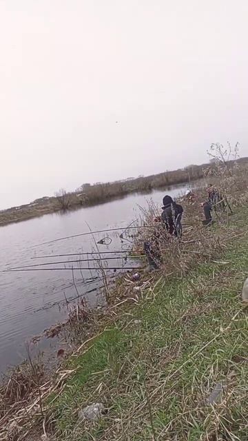 на карася #барнаул #рыбалка #рыбанутый смотреть онлайн