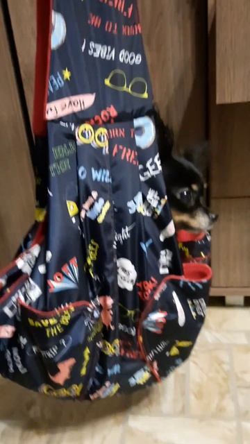 Гамак для маленьких собак смотреть онлайн