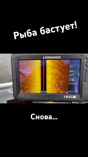 Рыба ушла на дальний кордон… смотреть онлайн