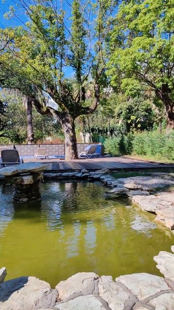 Бассейн в санатории #абхазии смотреть онлайн